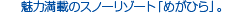 �m�߂��Ђ烊�]�[�g�{�݁n�L���ŃX�m�{�[�≷����y���߂�X�L�[��