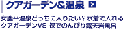 �X�p���]�[�g&����