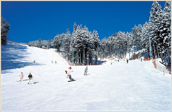 リフト9時間券コース 8,400円　リフト6時間券コース 7,900円　リフト4時間券コース 7,300円