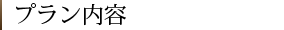 プラン内容