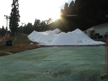 201111201.jpg