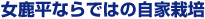 Ȃł͂̎ƍ͔|