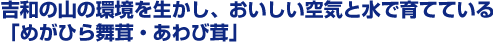 ga̎R̊𐶂ACƐňĂĂu߂Ђ畑Eёv