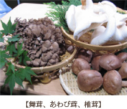 【舞茸、あわび茸、椎茸】