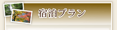 宿泊プラン