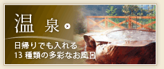 温泉 日帰りでも入れる13種類の多彩なお風呂
