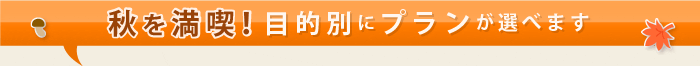 秋を満喫！目的別にプランが選べます