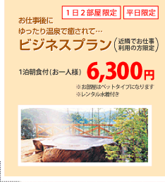 ビジネスプラン（近隣でお仕事利用の方限定）　6,300円