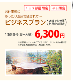 ビジネスプラン　6,300円