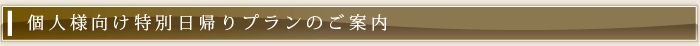 個人様向け特別日帰りプランのご案内