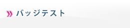 バッジテスト