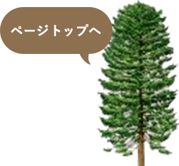 ページトップ
